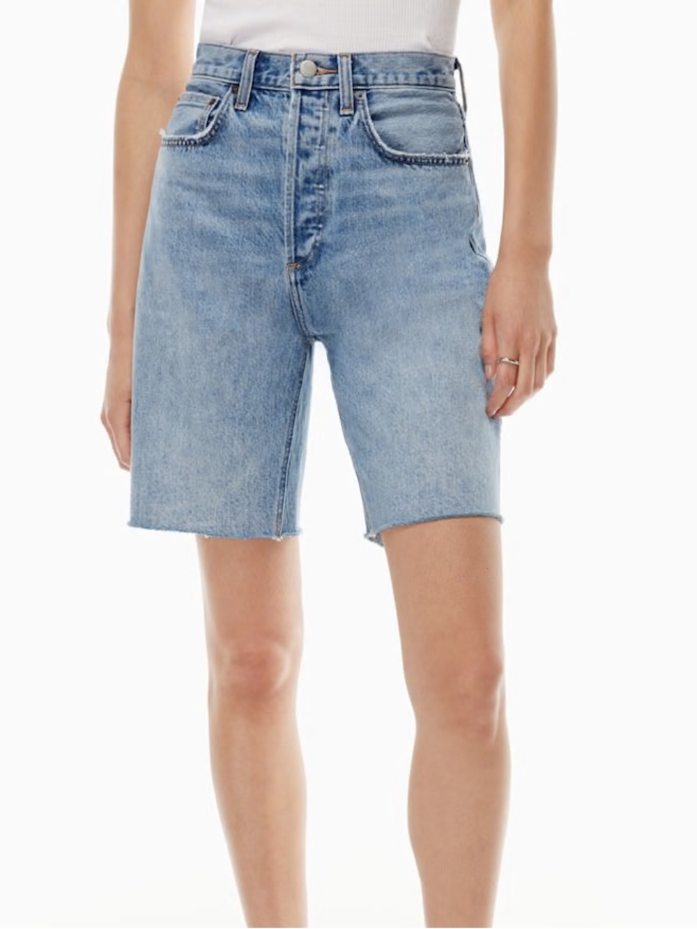 Denim Forum (ARITZIA) Shorts